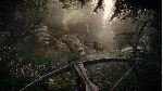 ✅ ❤ ️KINGDOM COME: DELIVERANCE II❤ ️XBOX|XS🔑 КЛЮЧ
