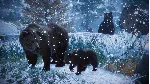 ⭐ Planet Zoo: Ultimate Edition EU Xbox Series X|S КЛЮЧ - irongamers.ru