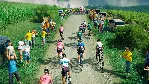 TOUR DE FRANCE 2024 XBOX SERIES S|X КЛЮЧ/КОД