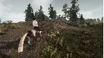MY HORSE: BONDED SPIRITS XBOX SERIES S|X КЛЮЧ/КОД - irongamers.ru