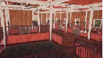 MY HORSE: BONDED SPIRITS XBOX SERIES S|X КЛЮЧ/КОД - irongamers.ru