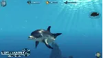 ⭐Depth Hunter 2: Deep Dive Steam КЛЮЧ GLOBAL - irongamers.ru