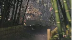 OKAMI + KUNITSU-GAMI BUNDLE XBOX КЛЮЧ/КОД