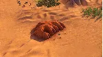 Civilization VI Australia Civilization & Scenario Pack