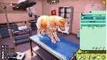 Animal Shelter 2 АВТОДОСТАВКА STEAM GLOBAL МГНОВЕННО ЛИЦЕНЗИЯ