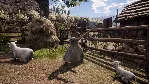 Medieval Dynasty - Echoes Edition Xbox активация - irongamers.ru