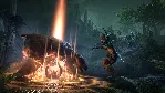 The Elder Scrolls Online Collection: Gold Road EU XBOX - irongamers.ru