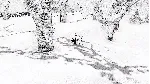 Blanc EU Steam КЛЮЧ ЕВРОПА - irongamers.ru