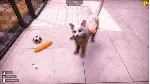 Animal Shelter 2✅ STEAM GIFT AUTO✅ RU+МИР