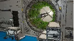 Space Engineers - Apex Survival Pack DLC АВТОДОСТАВКА STEAM РОССИЯ