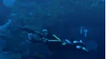 ⚫ Tomb Raider: Underworld Steam Ключ РФ+Мир +Бонус