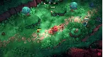 Wild Woods КЛЮЧ🔑 STEAM РФ+СНГ