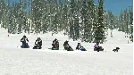 Sledders КЛЮЧ🔑 STEAM WW