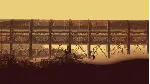 (DLC) Rain World: The Watcher КЛЮЧ🔑 STEAM ВСЕ СТРАНЫ