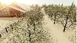 Farm Manager 2018 КЛЮЧ🔑 STEAM РФ+СНГ