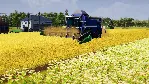 Farm Manager 2021 КЛЮЧ🔑 STEAM РФ+СНГ