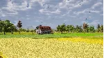 Farm Manager 2021 КЛЮЧ🔑 STEAM РФ+СНГ