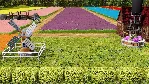 (DLC) Farm Manager 2021 - Floriculture DLC КЛЮЧ🔑 STEAM