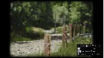 Lushfoil Photography Sim КЛЮЧ🔑 STEAM РФ+СНГ