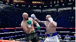 Undisputed СТИМ Steam Gift