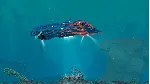 ⚫ Verne: The Shape of Fantasy Steam Ключ РФ+Мир +Бонус