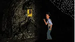 Detective Dotson СТИМ Steam Gift