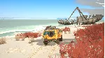 Caravan SandWitch СТИМ Steam Gift