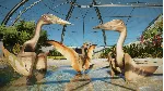 Jurassic World Evolution 3: Deluxe Upgrade Pack STEAM - irongamers.ru