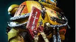 Warhammer 40,000: Space Marine 2 - Imperial Fists DLC