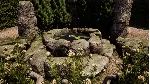 Medieval Dynasty - Echoes of Nature DLC - STEAM RU - irongamers.ru