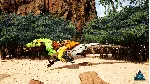 Beasts of Bermuda - Utahraptor Supporter Warpaint DLC - irongamers.ru