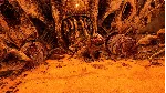 Necrophosis - STEAM GIFT РОССИЯ