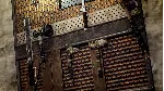 RUST CONSOLE EDITION X|S - WEAPON RACKS XBOX SERIES S|X - irongamers.ru