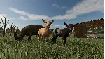 FARMING SIMULATOR 25: YEAR 1 BUNDLE (PC) PC (WIN) КЛЮЧ/