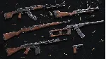 Insurgency: Sandstorm - Woodburn Weapon Skin Set DLC