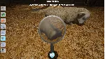 МОЯ ЖИЗНЬ: ВЕТЕРИНАР НА ФЕРМЕ XBOX + PC (WIN) КЛЮЧ/КОД - irongamers.ru