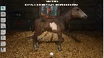 МОЯ ЖИЗНЬ: ВЕТЕРИНАР НА ФЕРМЕ XBOX + PC (WIN) КЛЮЧ/КОД - irongamers.ru