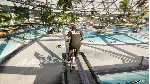 ✅ BMX Streets Xbox Series X|S активация