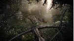 ✅ KINGDOM COME: DELIVERANCE SAGA BUNDLE❤ ️XBOX🔑 КЛЮЧ✅ 