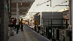 Train Sim World 6: Cargo Line Vol. 5 - Nuclear АВТОДОСТАВКА STEAM GLOBAL МГНОВЕННО ЛИ