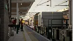 Train Sim World® 6: Cargo Line Vol. 5 - Nuclear ✅ STEAM GIFT AUTO✅ RU+МИР