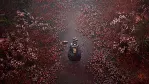 SILENT HILL 2 & SILENT HILL f Deluxe Dual Pack STEAM GIFT AUTO AR+МИР - irongamers.ru