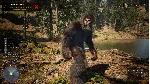Bigfoot Life - STEAM GIFT РОССИЯ