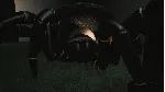 Huntsman - STEAM GIFT РОССИЯ