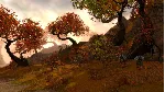 Guild Wars® Eye of the North DLC * STEAM RU*KZ*UA*СНГ - irongamers.ru
