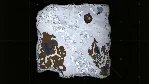 Icarus: Frostfall Outpost DLC * STEAM RU*KZ*UA*СНГ - irongamers.ru