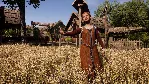 Medieval Dynasty - Exquisite Pack DLC STEAM RU/KZ/UA - irongamers.ru