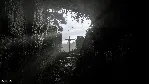 A.I.L.A СТИМ Steam Gift