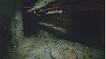ROUTINE СТИМ Steam Gift