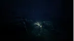 REANIMAL XBOX|XS+PC WIN КЛЮЧ - irongamers.ru